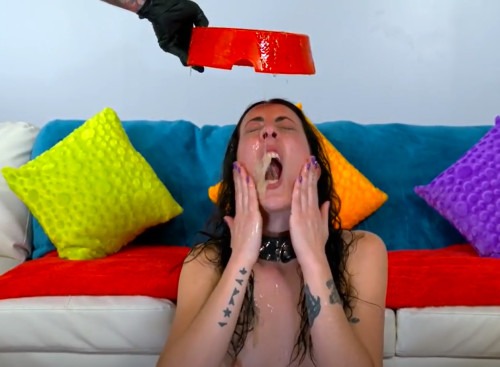 Porn Whore 894 509